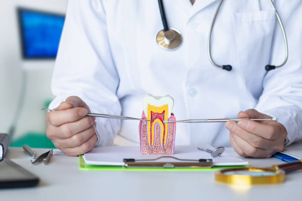 Best Pediatric Emergency Dentist in Highland Springs, VA
